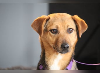 Narina sucht ihr Für-Immer-Zuhause!