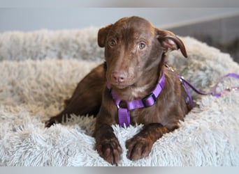 Malina unsere kleine Schönheit..