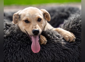 Wer schenkt Lisana ein zu Hause...