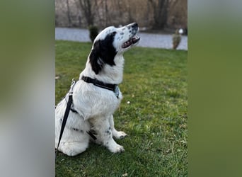 Neria sucht ihre Menschen...