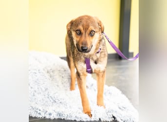 liebenswerte kleine - Serina