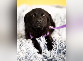 Hallo, ich bin die hübsche Sembra...