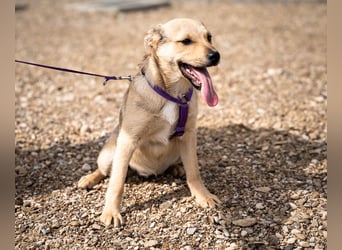 Wer schenkt Lisana ein zu Hause...