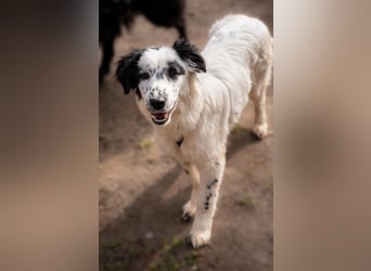 Neria sucht ihre Menschen...