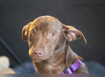 Malina unsere kleine Schönheit..