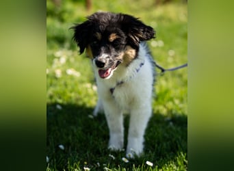 Lina unser kleiner Sonnenschein...