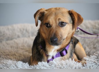 Narina sucht ihr Für-Immer-Zuhause!