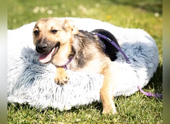 Yami kleine Kämpferin mit großem Herzen