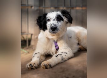 Neria sucht ihre Menschen...