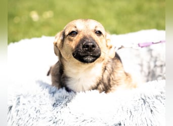 Yami kleine Kämpferin mit großem Herzen