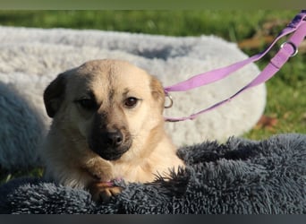 Die Zauberhafte Ticina...