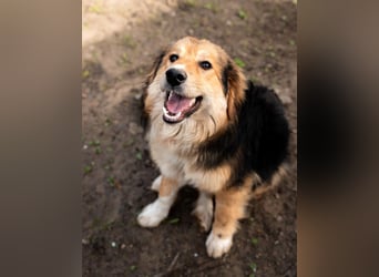 Sky sucht liebevolle Familie....