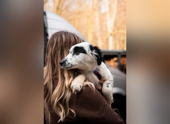 Neria sucht ihre Menschen...