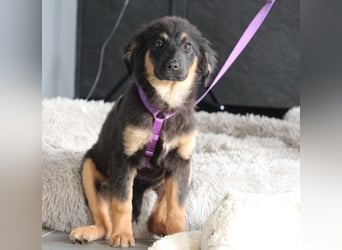 Mera hat endlose Liebe zu verschenken!