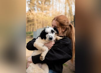 Neria sucht ihre Menschen...