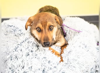 liebenswerte kleine - Serina