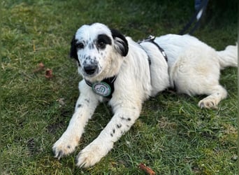 Neria sucht ihre Menschen...