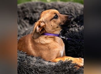 Talisa unsere kleine Schönheit ...