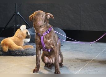 Malina unsere kleine Schönheit..