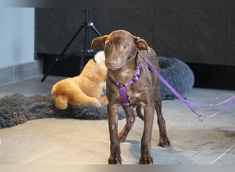 Malina unsere kleine Schönheit..