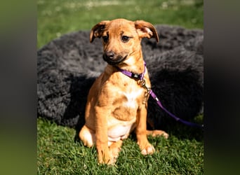 Talisa unsere kleine Schönheit ...