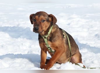 Jando möchte sein Herz verschenken...