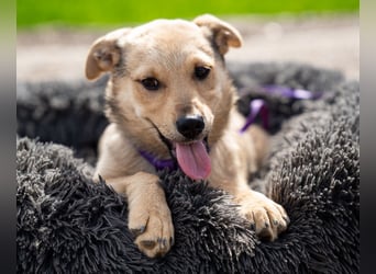 Wer schenkt Lisana ein zu Hause...