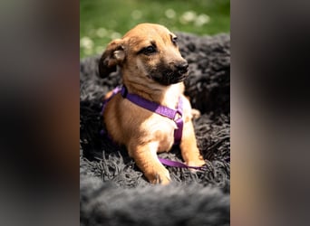 Wendy unsere kleine sensible...