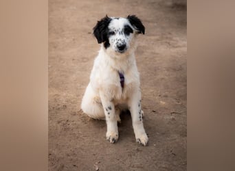 Neria sucht ihre Menschen...