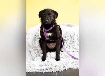 Hallo, ich bin die hübsche Sembra...