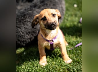 Wendy unsere kleine sensible...