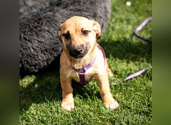 Wendy unsere kleine sensible...