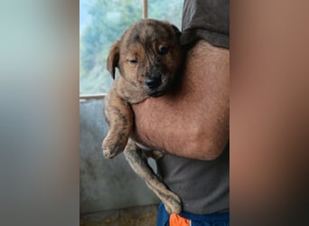 Timmy ❤️ junger, aktiver, so lieber Bub!