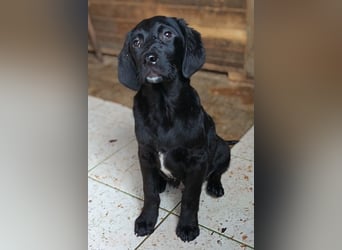 Haru ❤️ so lieber, aufgeschlossener Bub!