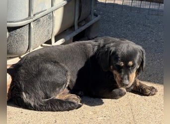 Junge Aimi sucht ihr großes Glück