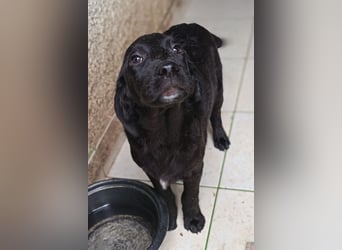 Haru ❤️ so lieber, aufgeschlossener Bub!