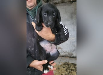 Pedro ❤️ aktiver, so aufgeschlossener Bub