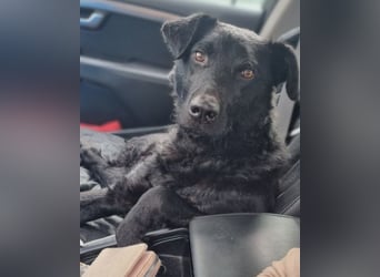 Floyd ❤️ liebenswerter, tapferer Kämpfer