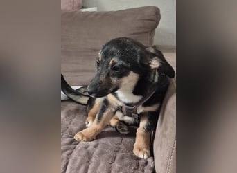 Elke ❤️ wartet bereits in 45259 Essen auf deinen Besuch