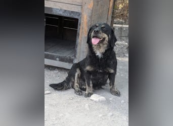 Junge Aimi sucht ihr großes Glück