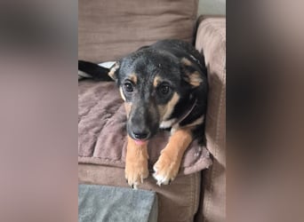 Elke ❤️ wartet bereits in 45259 Essen auf deinen Besuch