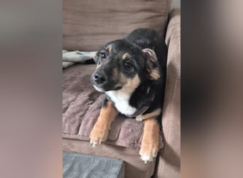 Elke ❤️ wartet bereits in 45259 Essen auf deinen Besuch