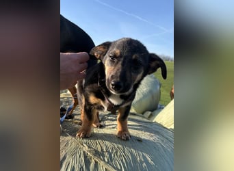 Elke ❤️ wartet bereits in 45259 Essen auf deinen Besuch