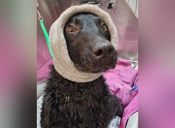 Floyd ❤️ liebenswerter, tapferer Kämpfer