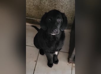 Haru ❤️ so lieber, aufgeschlossener Bub!