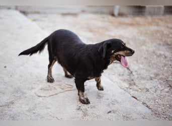 Junge Aimi sucht ihr großes Glück