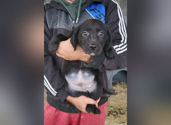 Haru ❤️ so lieber, aufgeschlossener Bub!