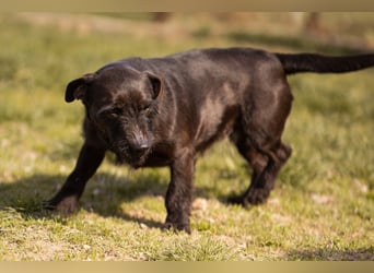 Fröhliche, kleine Greta zart, aber aktiv