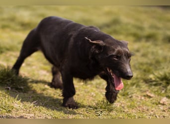 Fröhliche, kleine Greta zart, aber aktiv