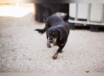 Junge Aimi sucht ihr großes Glück